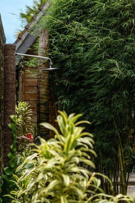 The Padang Villa Jungle Escape 5 Mins Drive From Uluwatu'S Beaches Экстерьер фото